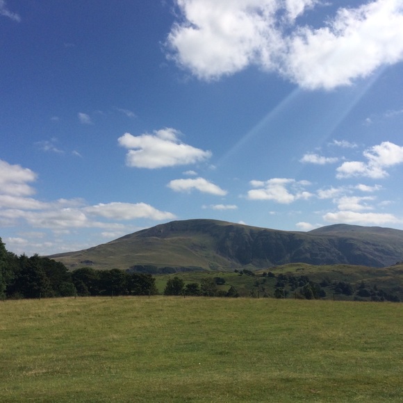 Hi there! - Picture 1 of 1